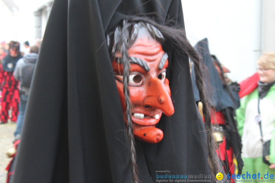 Rosenmontags-Umzug: Messkirch am Bodensee, 16.02.2015