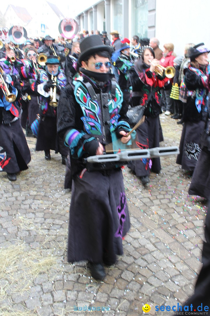 Rosenmontags-Umzug: Messkirch am Bodensee, 16.02.2015