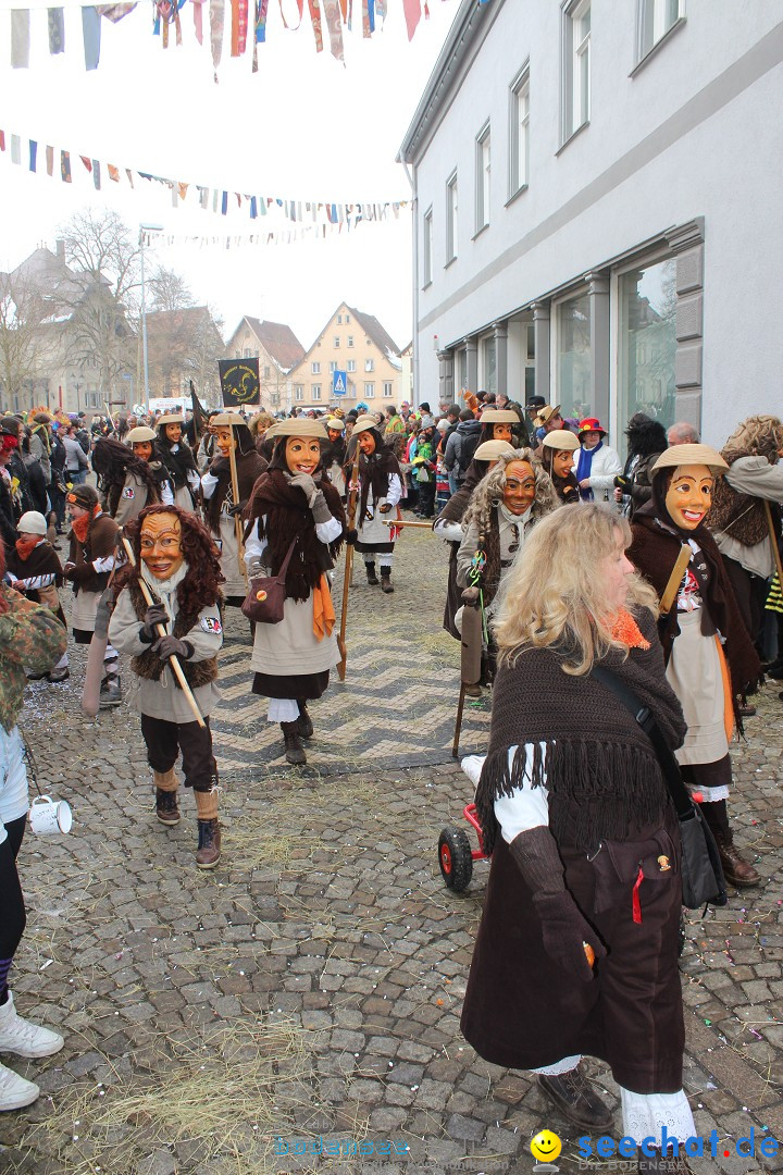 Rosenmontags-Umzug: Messkirch am Bodensee, 16.02.2015