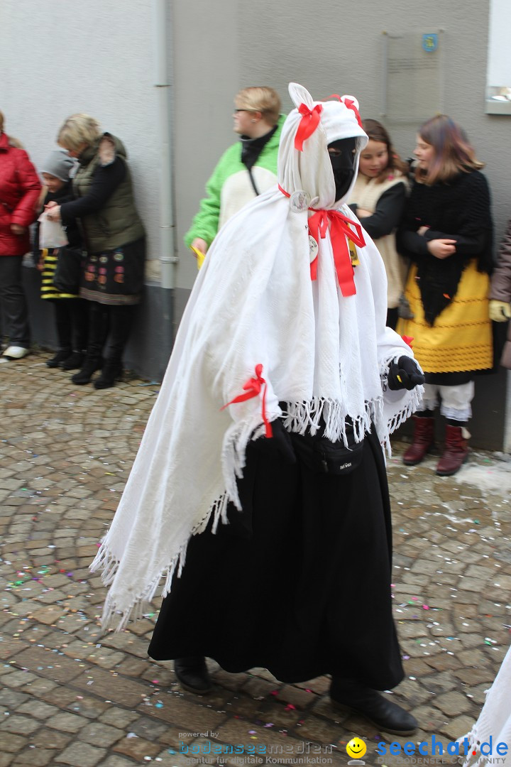 Rosenmontags-Umzug: Messkirch am Bodensee, 16.02.2015