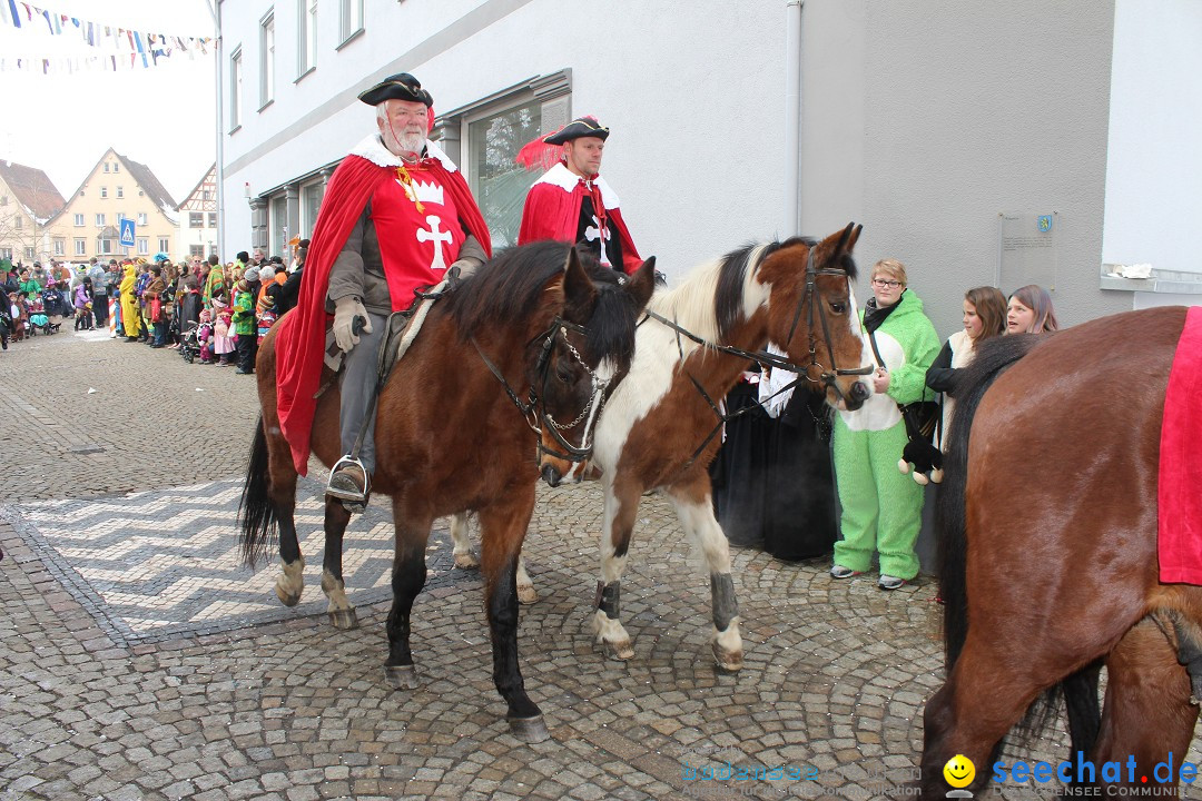 Rosenmontags-Umzug: Messkirch am Bodensee, 16.02.2015