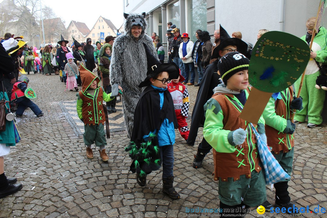 Rosenmontags-Umzug: Messkirch am Bodensee, 16.02.2015