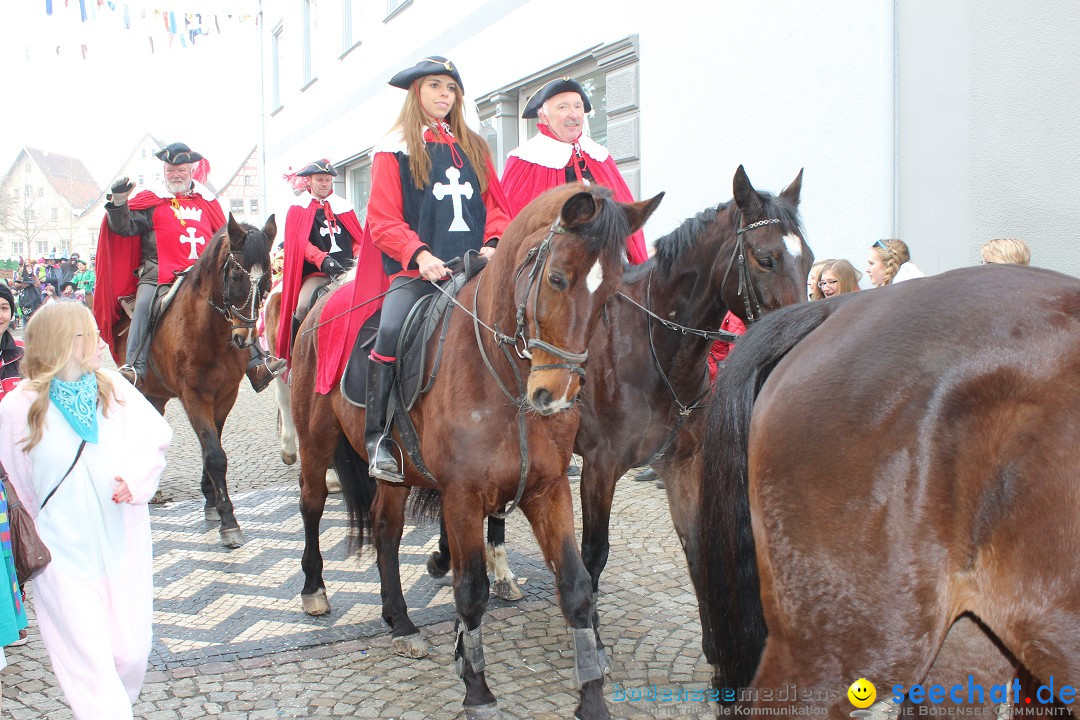 Rosenmontags-Umzug: Messkirch am Bodensee, 16.02.2015