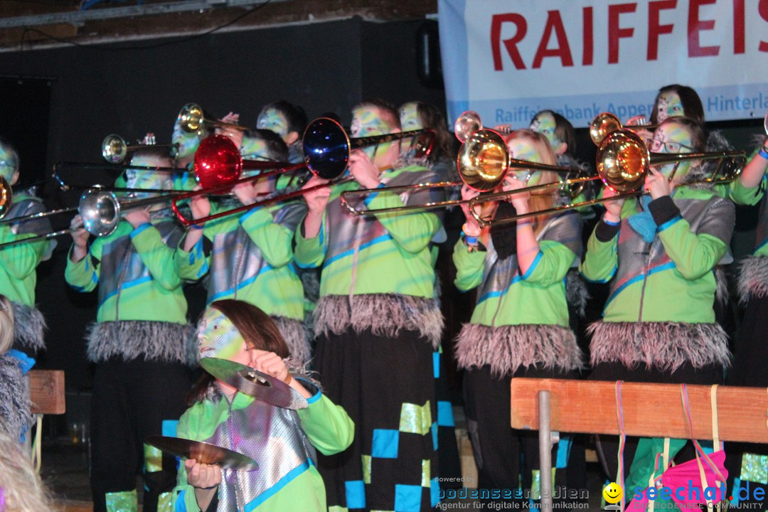 Guggenparty: Herisau in der Schweiz, 21.02.2015