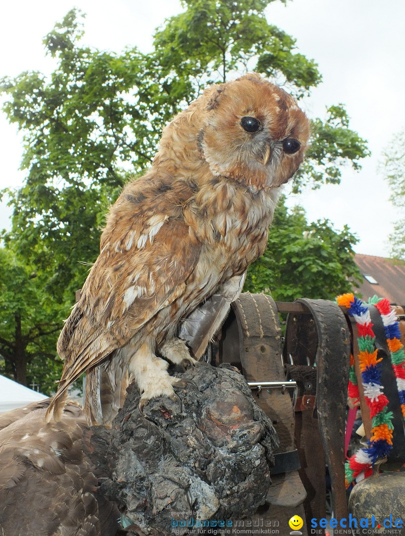 Flohmarkt in Bad-Saulgau am Bodensee, 08.05.2015