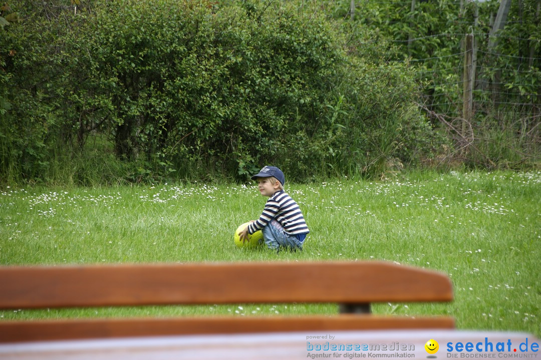 seechat.de Team-Grillfest: Wahlwies am Bodensee, 17.05.2015