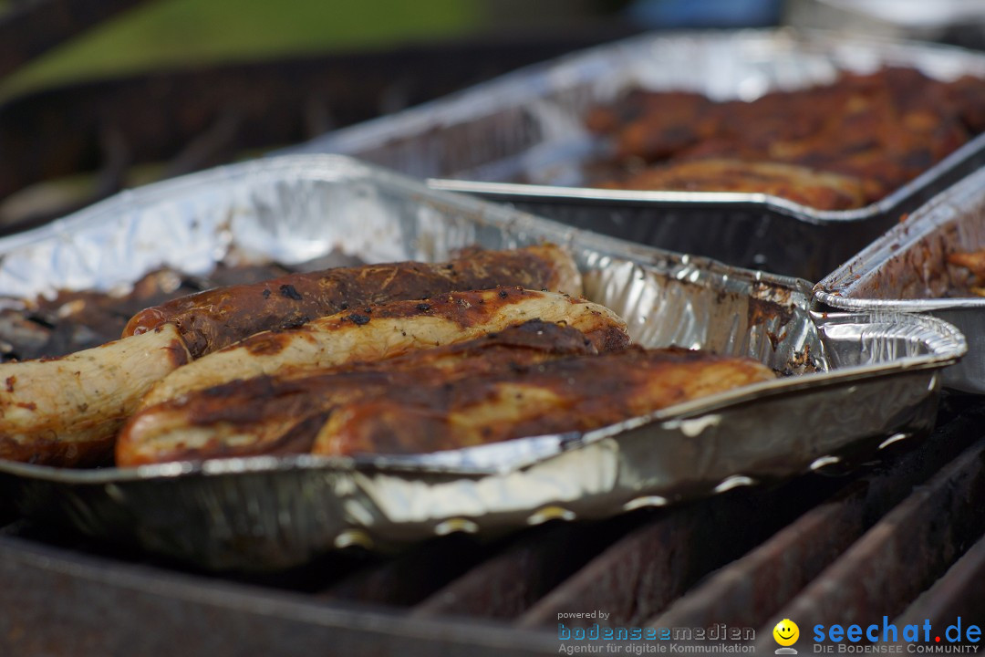 seechat.de Team-Grillfest: Wahlwies am Bodensee, 17.05.2015