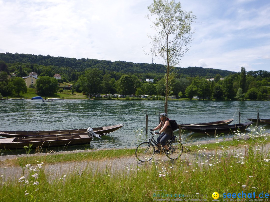 SlowUp Hegau-Schaffhausen, TEAM seechat.de Bodensee-Community, 14.06.15