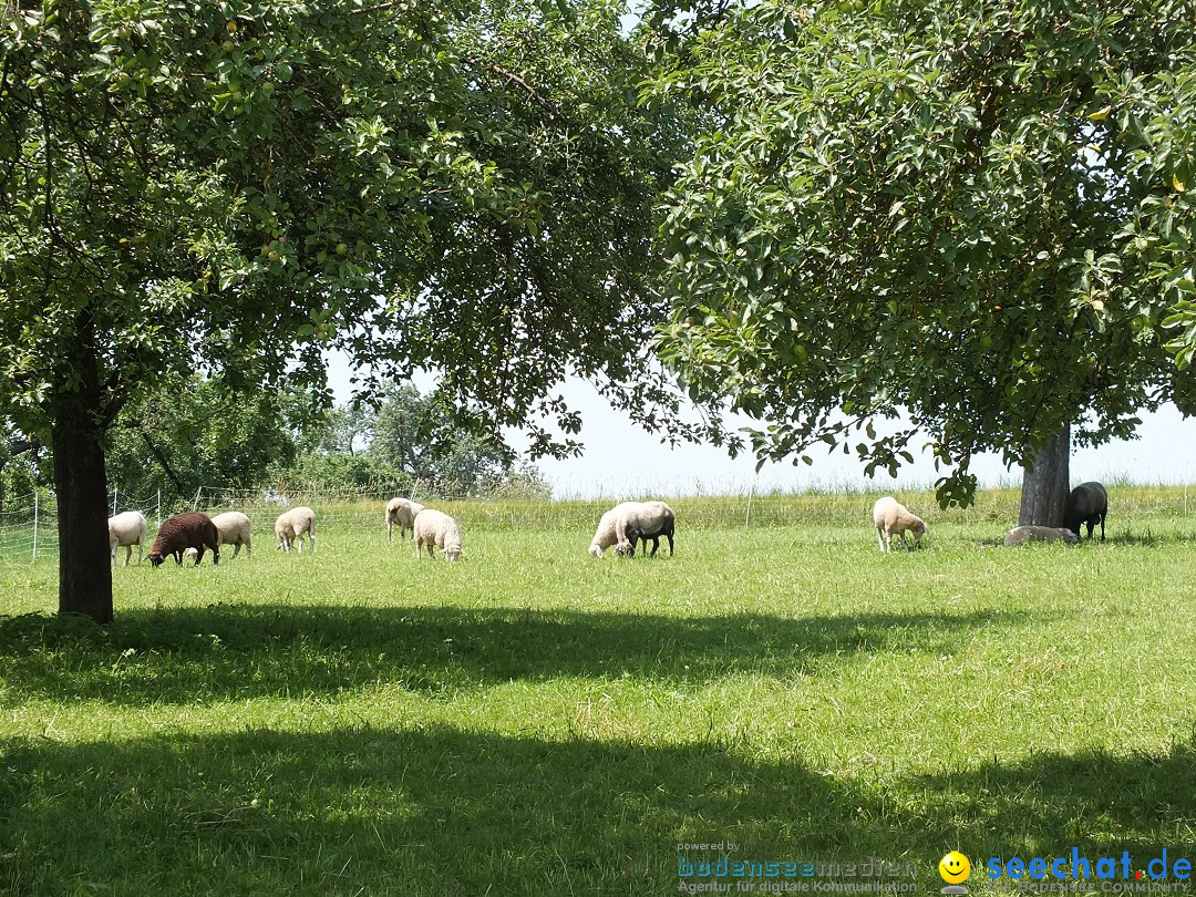 Garagen-Flohmarkt in Kanzach: 04.07.2015