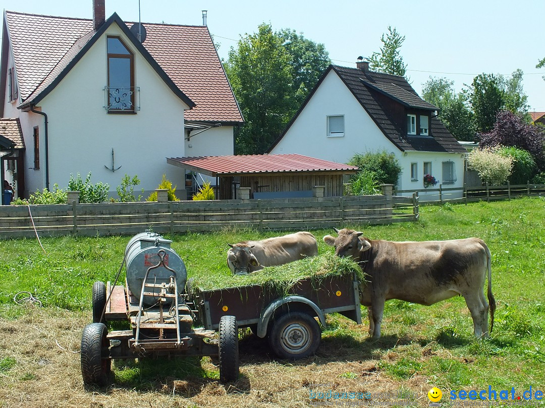 Garagen-Flohmarkt in Kanzach: 04.07.2015