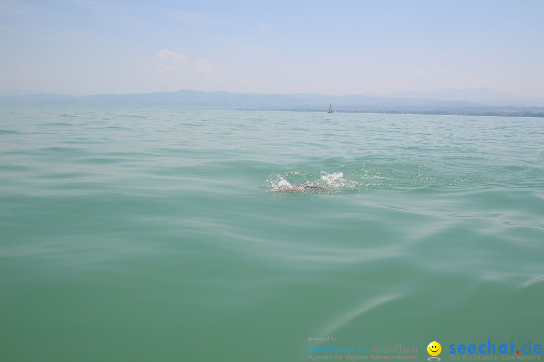 Bodensee Breitenquerung von Mim und Axel: Friedrichshafen, 04.07.2015