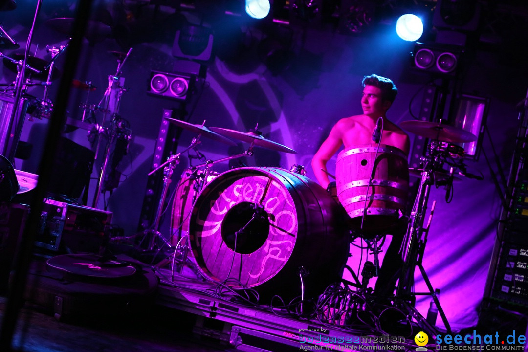 Saltatio Mortis und Versengold: Honberg-Sommer, Tuttlingen, 24.07.2015