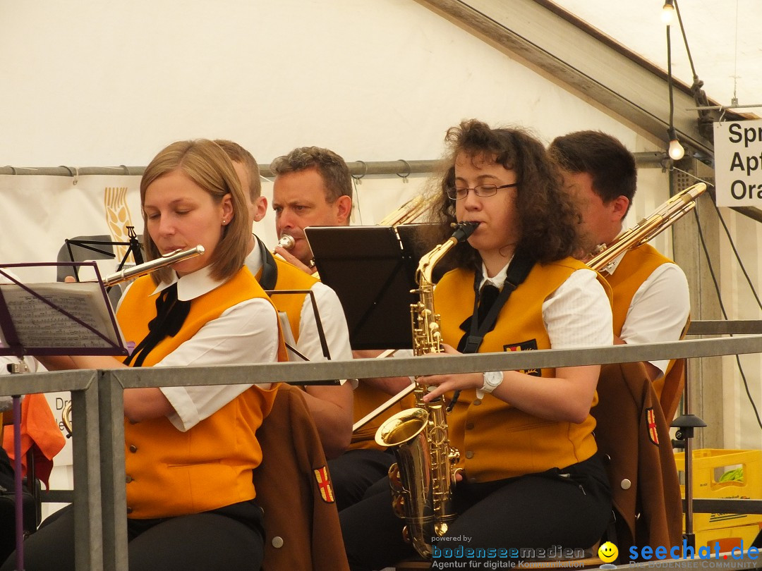 Flohmarkt und Fest: Oggelshausen in Oberschwaben, 24.07.2015
