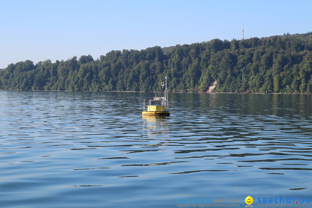 Bodenseequerung-Mim-Schall-030815-Bodensee-Community-SEECHAT_DE-IMG_0803.JPG