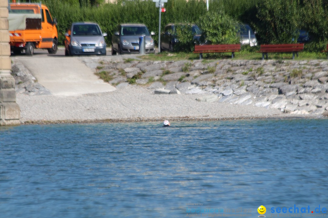 Bodensee Breitenquerung von Klaus Mattes: Friedrichshafen, 21.08.2015