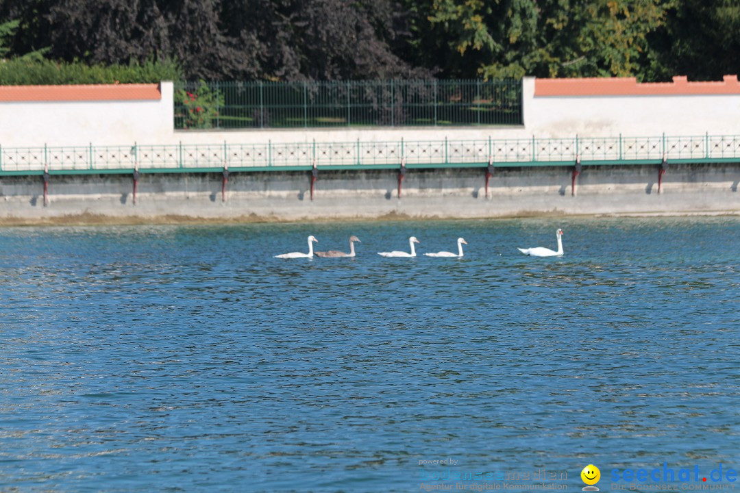 Bodensee Breitenquerung von Klaus Mattes: Friedrichshafen, 21.08.2015