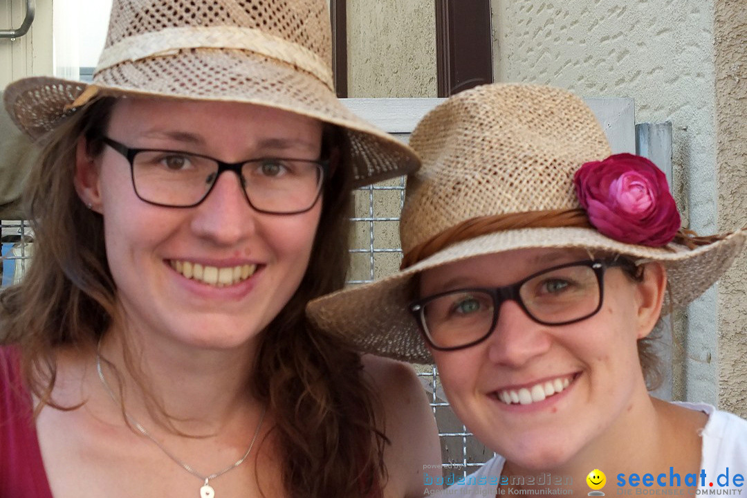 Flohmarkt und Fest: Sigmaringen, 29.08.2015