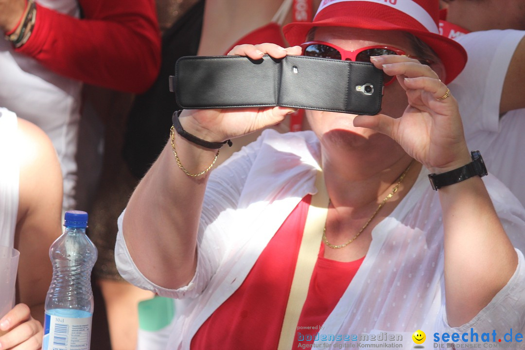 Streetparade-Zuerich-290815-Bodensee-Community-SEECHAT_CH-IMG_7983.jpg