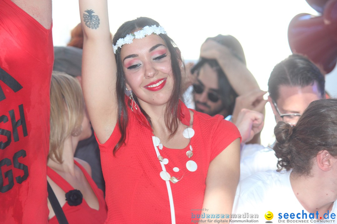 Streetparade-Zuerich-290815-Bodensee-Community-SEECHAT_CH-IMG_8037.jpg