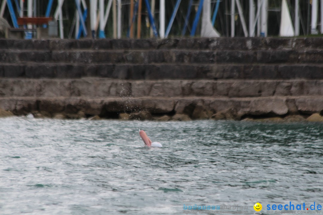 Bodensee Breitenquerung - Patrick Hotz: Friedrichshafen, 06.09.2015