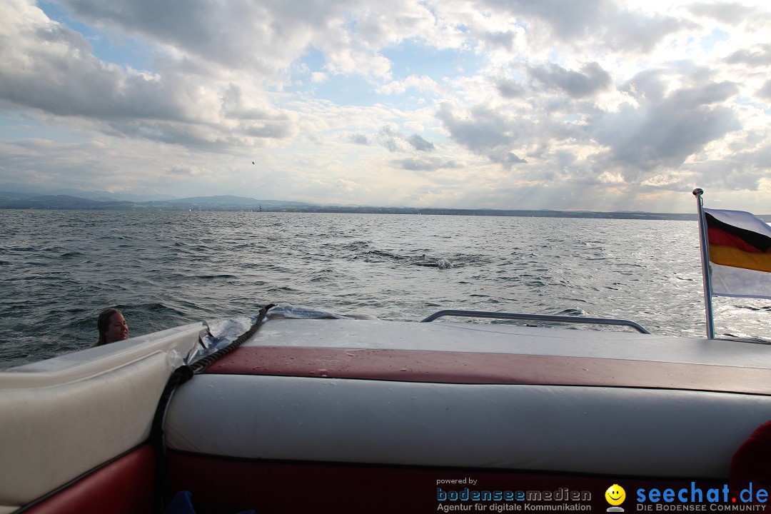 Bodensee Breitenquerung - Patrick Hotz: Friedrichshafen, 06.09.2015