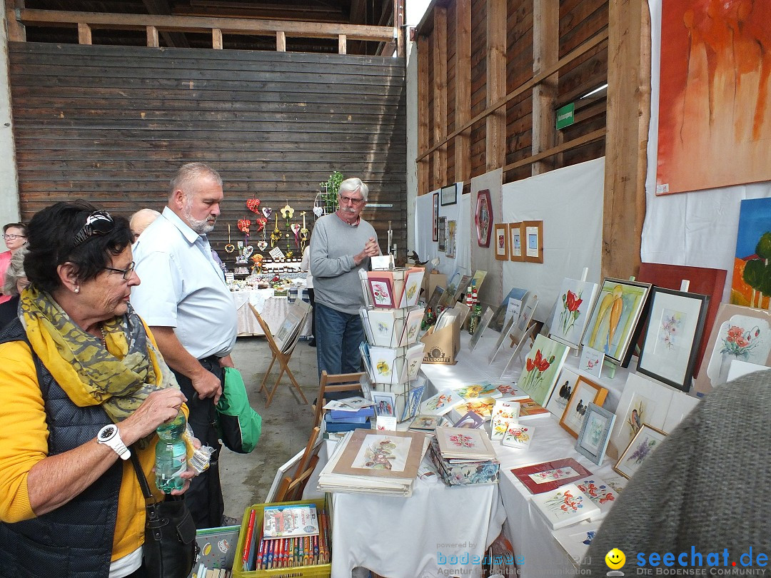 Kunst-im-Saegewerk-Kanzach-2015-09-06-Bodensee-Community-SEECHAT_DE-_110_.JPG