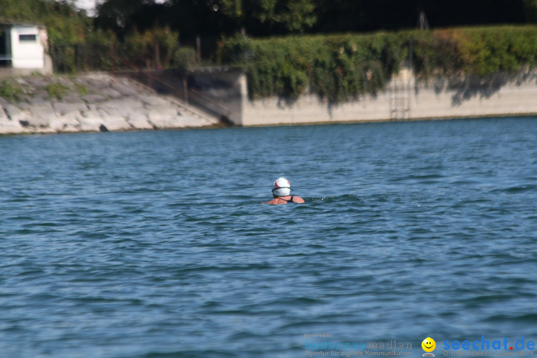 Bodensee Breitenquerung - Peggy Hennings: Friedrichshafen, 12.09.2015