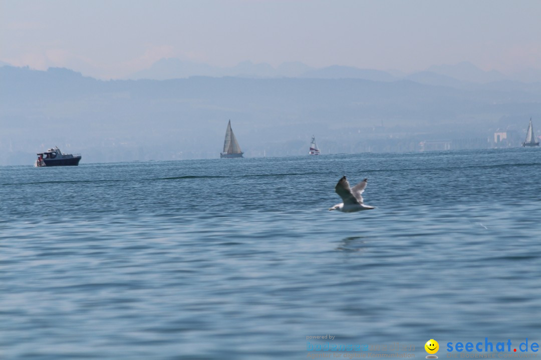 Bodensee Breitenquerung - Peggy Hennings: Friedrichshafen, 12.09.2015