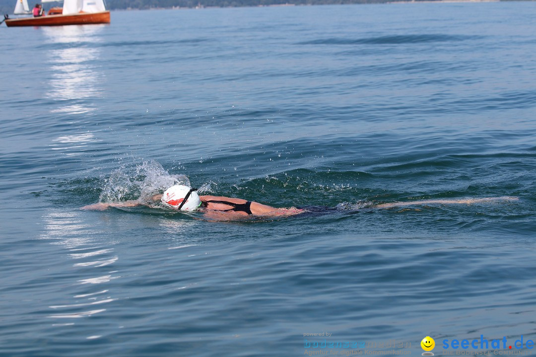 Bodensee Breitenquerung - Peggy Hennings: Friedrichshafen, 12.09.2015