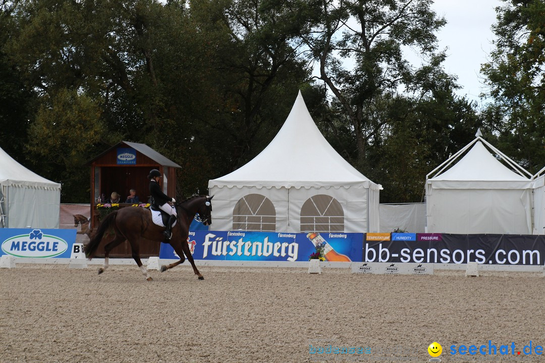 CHI Donaueschingen 2015 Reitturnier: Donaueschingen, 19.09.2015