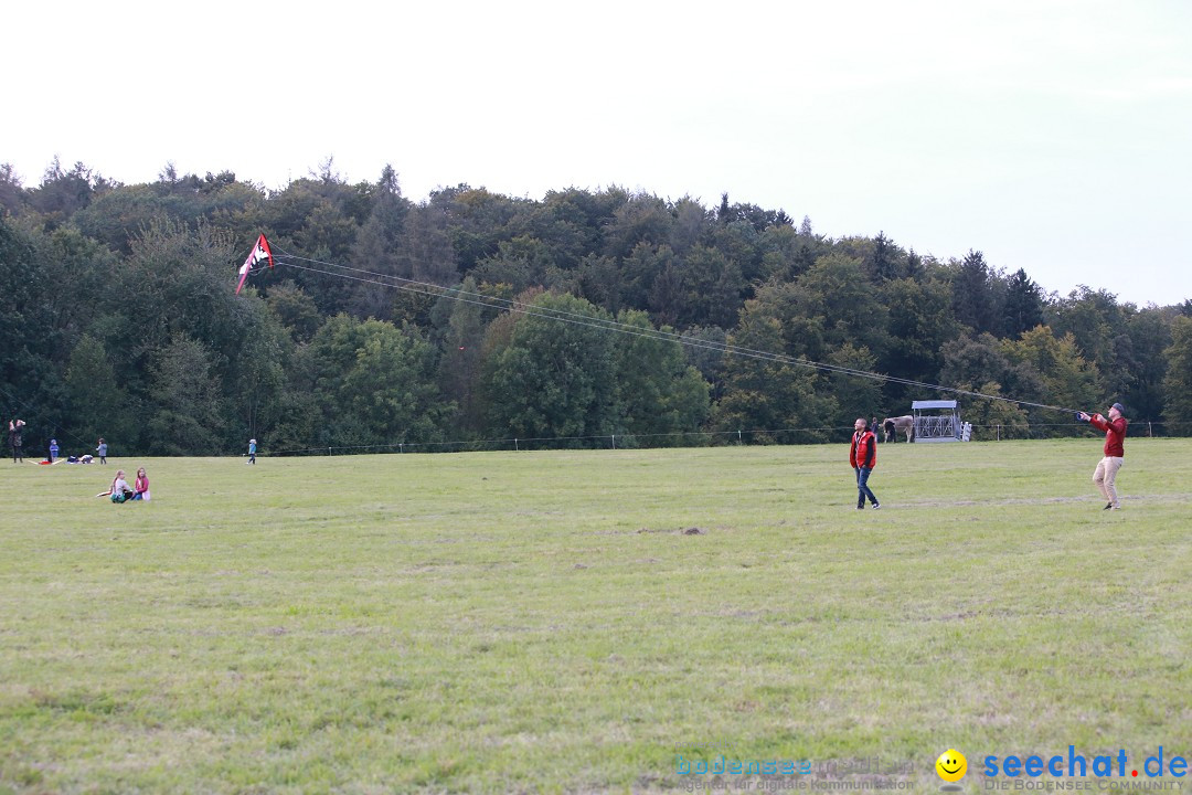 Drachenfest: Weingarten bei Ravensburg am Bodensee, 26.09.2015