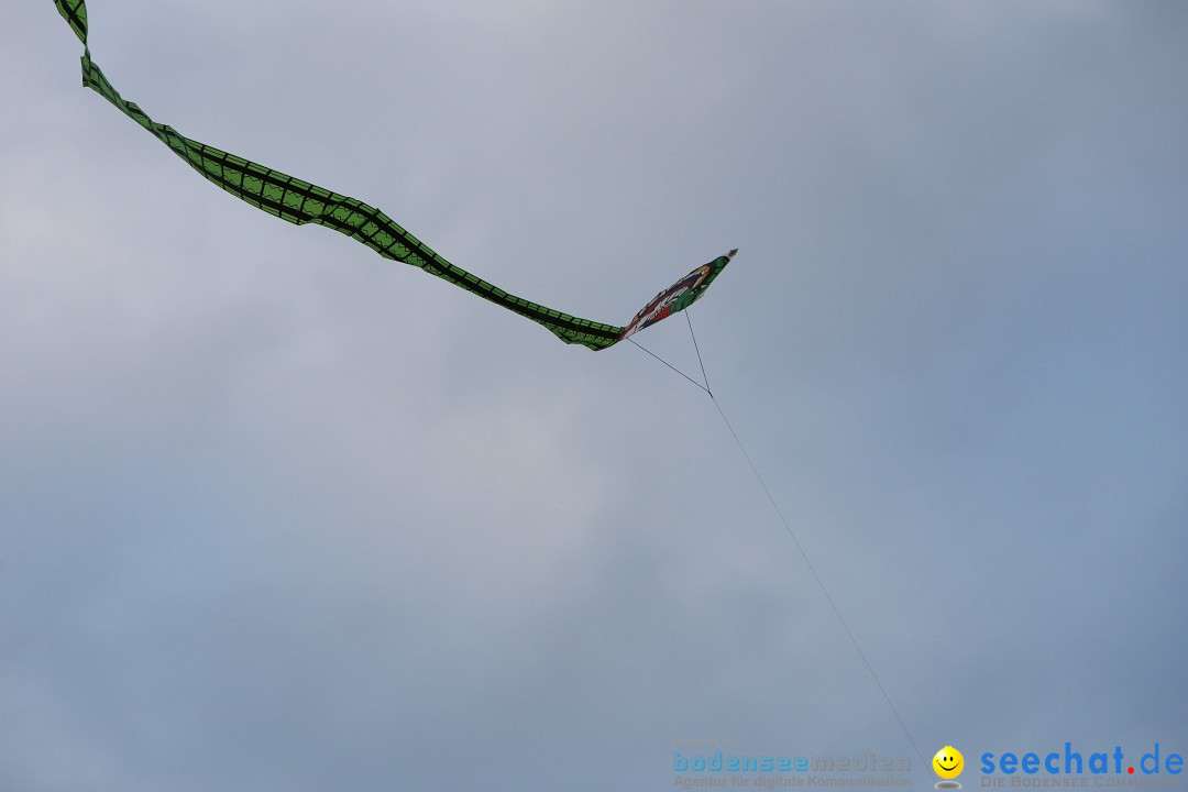 Drachenfest: Weingarten bei Ravensburg am Bodensee, 26.09.2015