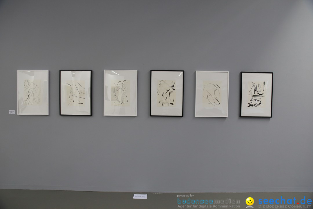Vernissage mit Ausstellung auf der Kunstnacht: Ravensburg, 25.09.2015