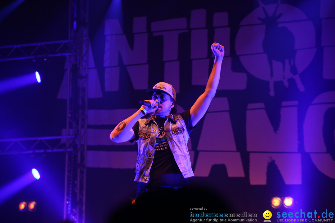 47 Grad Festival mit ANTILOPEN GANG: Ravensburg, 05.12.2015