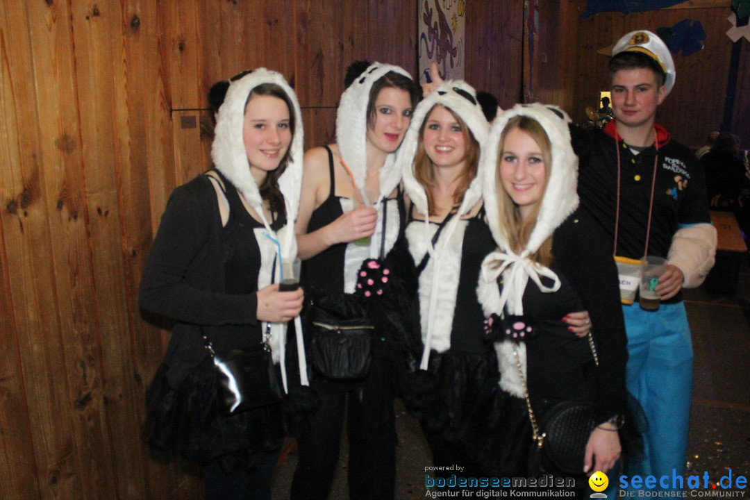 Maskenball - Diessenhofen TG - Schweiz, 10.01.2016