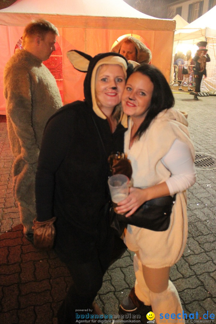 Maskenball - Diessenhofen TG - Schweiz, 10.01.2016