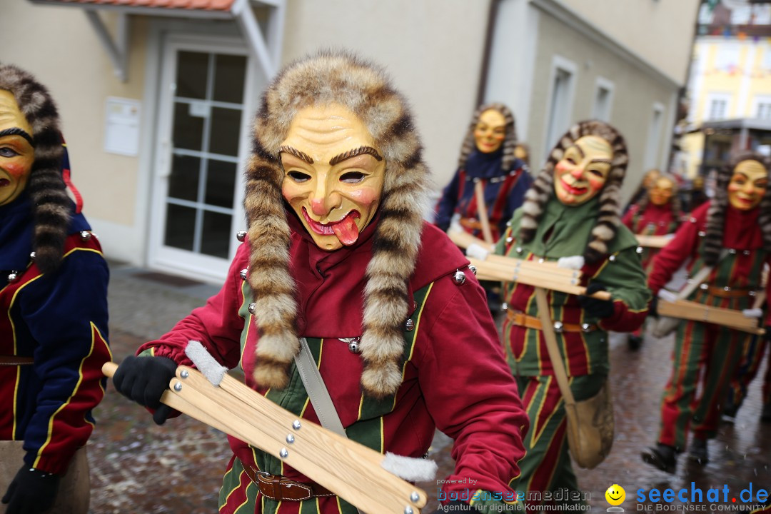 Fasnetsumzug - Fasching: Langenargen am Bodensee, 10.01.2016