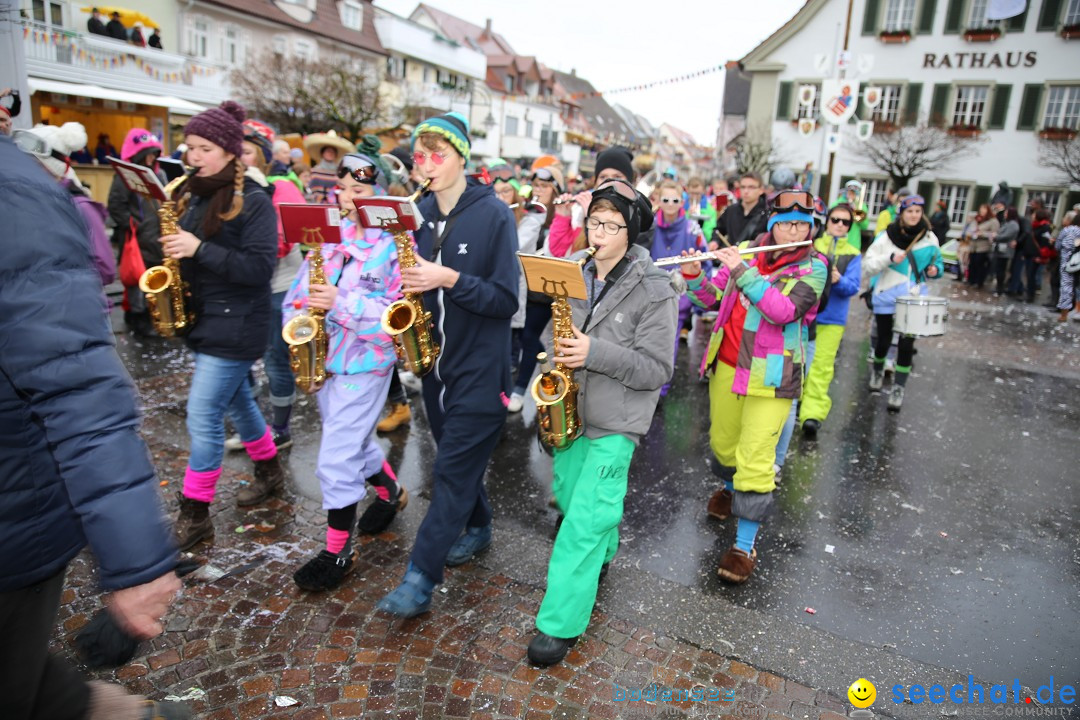 Fasnetsumzug - Fasching: Langenargen am Bodensee, 10.01.2016