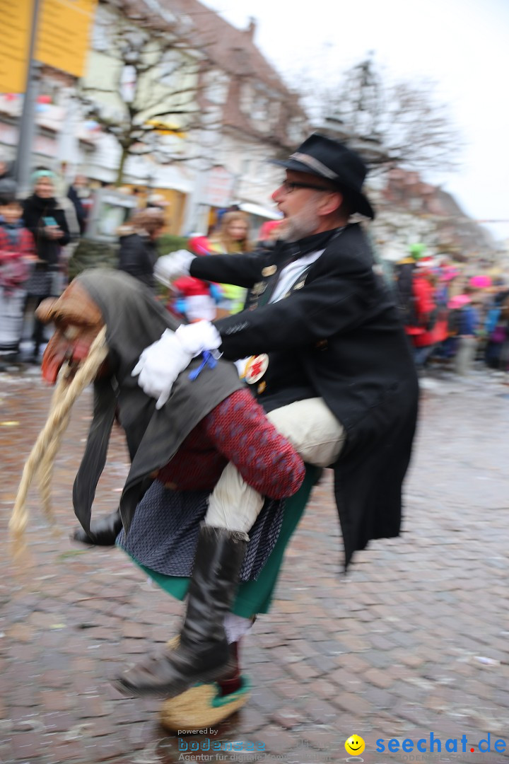 Fasnetsumzug - Fasching: Langenargen am Bodensee, 10.01.2016