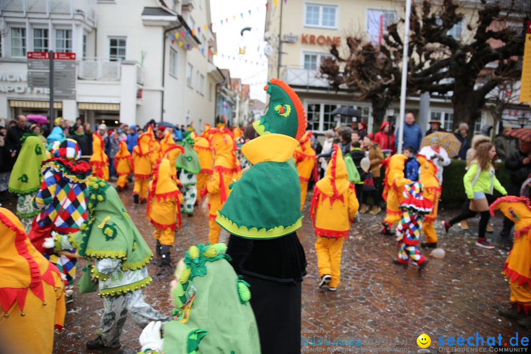 Fasnetsumzug - Fasching: Langenargen am Bodensee, 10.01.2016
