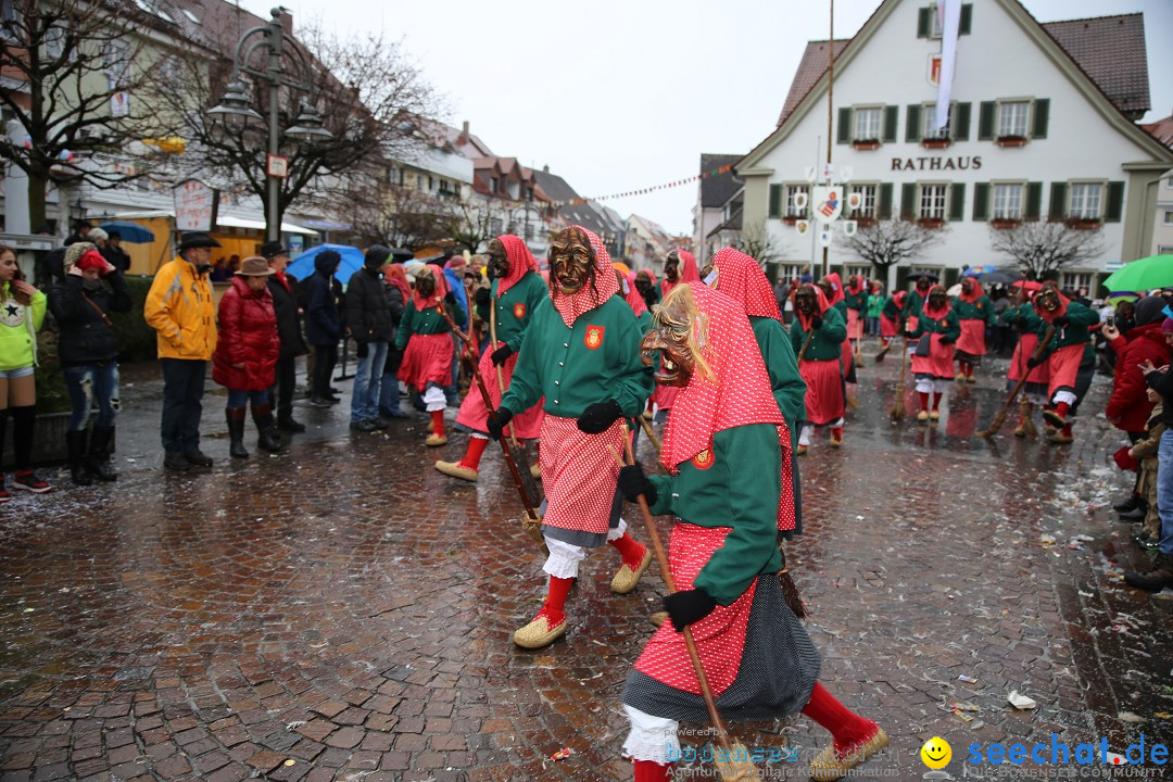 Fasnetsumzug - Fasching: Langenargen am Bodensee, 10.01.2016