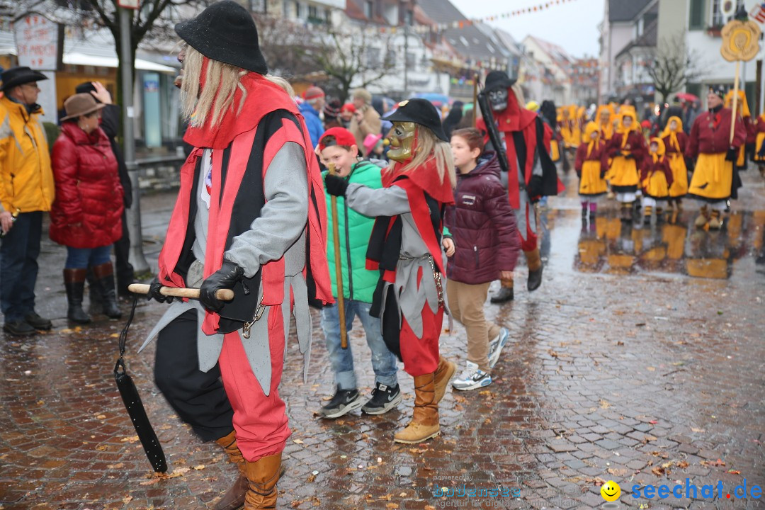 Fasnetsumzug - Fasching: Langenargen am Bodensee, 10.01.2016