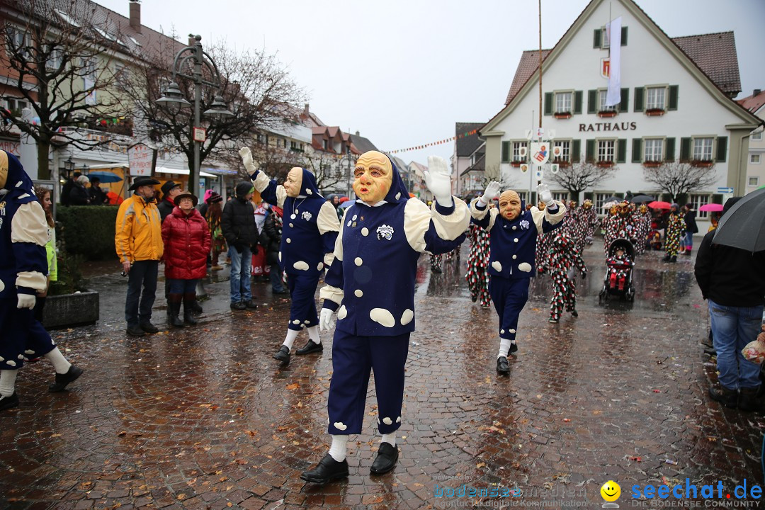 Fasnetsumzug - Fasching: Langenargen am Bodensee, 10.01.2016