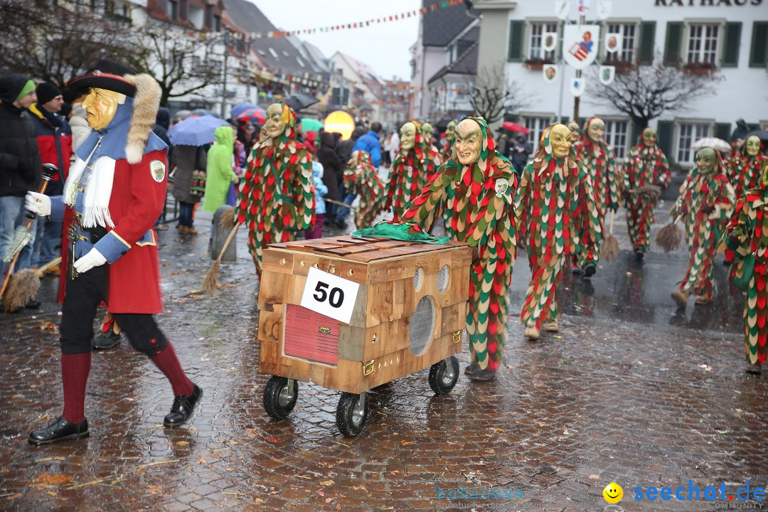 Fasnetsumzug - Fasching: Langenargen am Bodensee, 10.01.2016