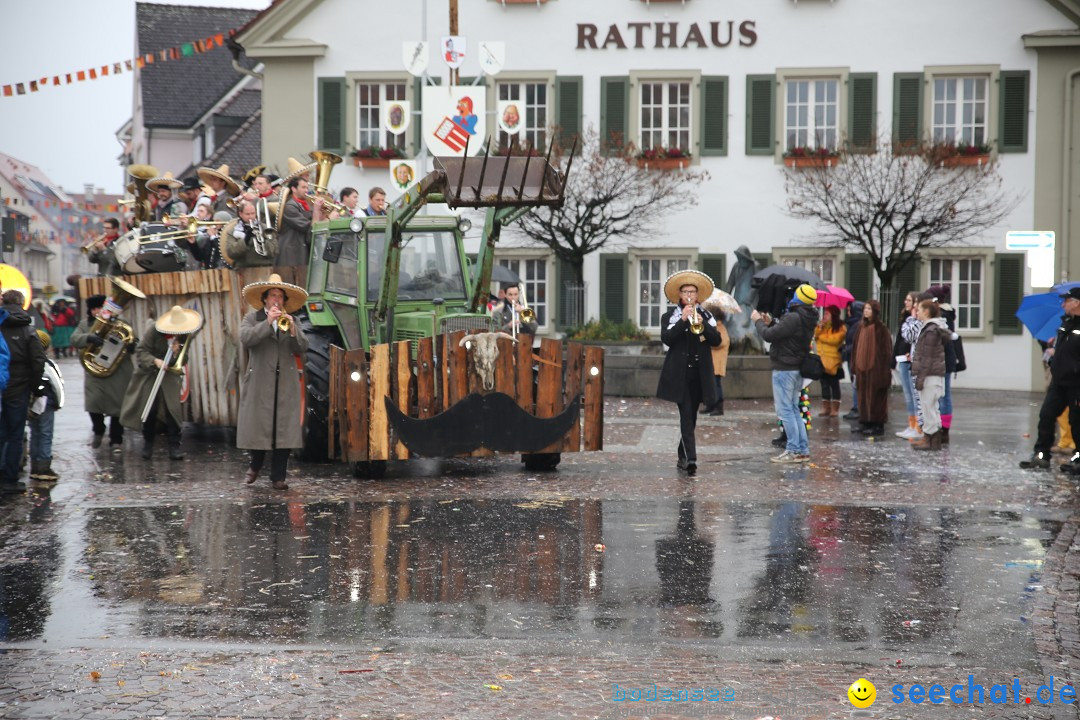 Fasnetsumzug - Fasching: Langenargen am Bodensee, 10.01.2016