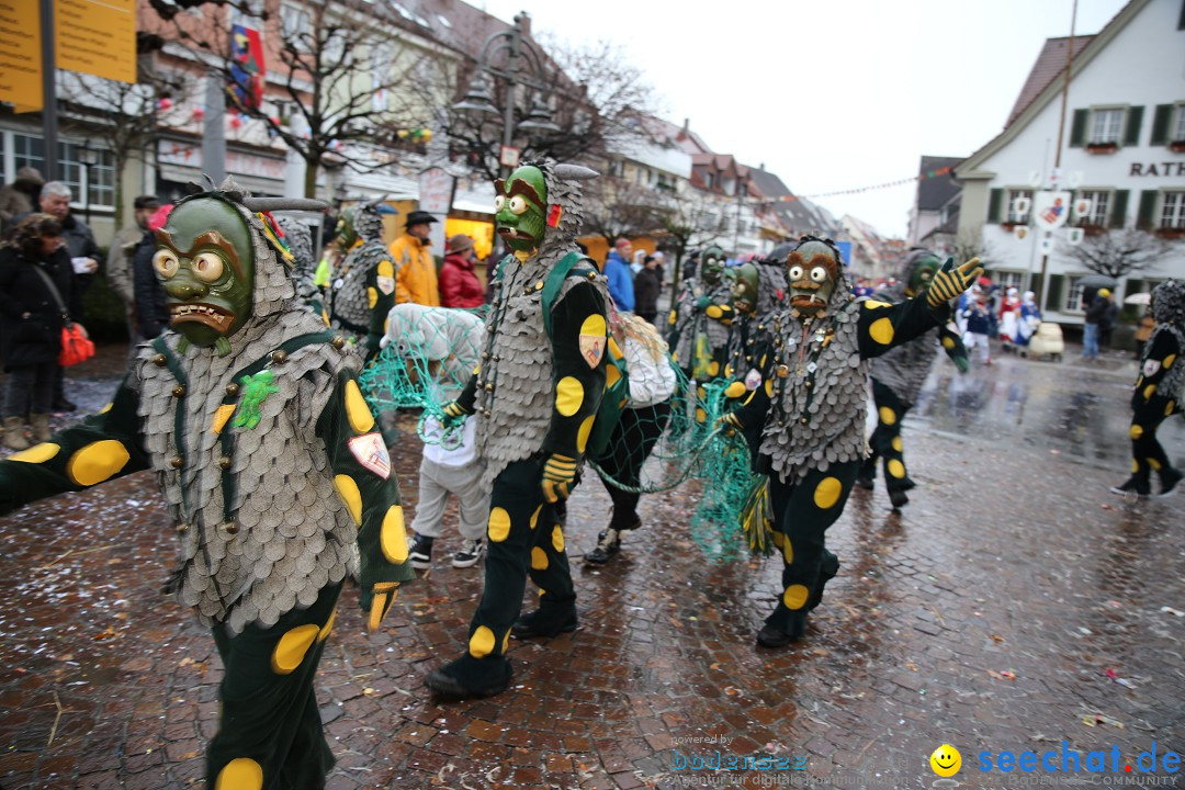 Fasnetsumzug - Fasching: Langenargen am Bodensee, 10.01.2016
