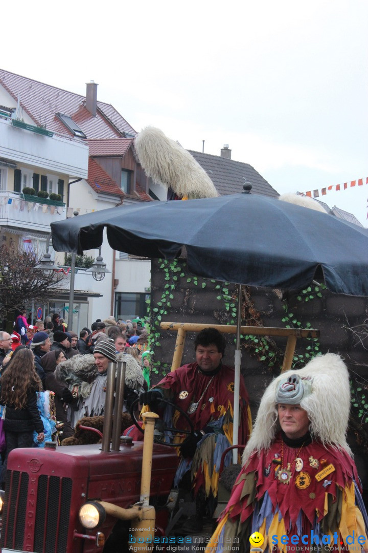 Fasnetsumzug - Fasching: Langenargen am Bodensee, 10.01.2016