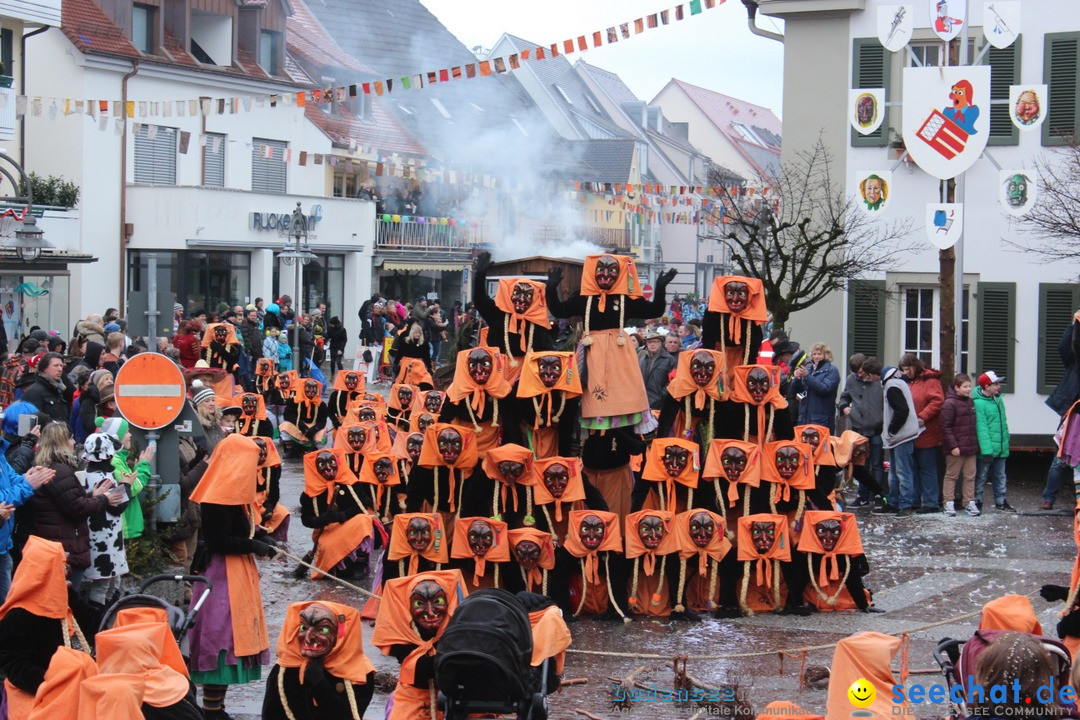 Fasnetsumzug - Fasching: Langenargen am Bodensee, 10.01.2016