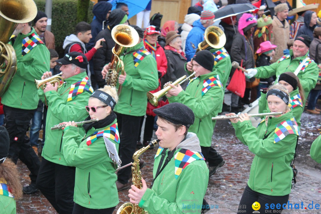 Fasnetsumzug - Fasching: Langenargen am Bodensee, 10.01.2016