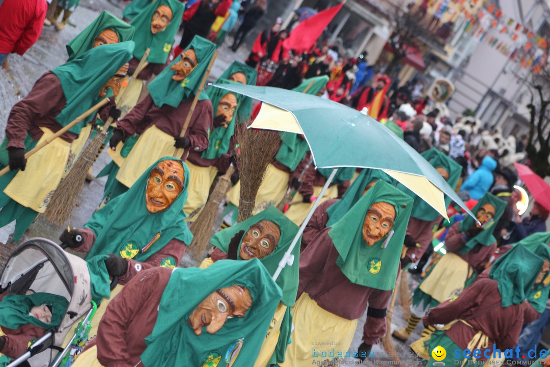 Fasnetsumzug - Fasching: Langenargen am Bodensee, 10.01.2016